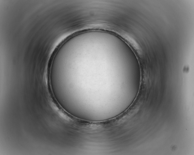 X0000102390888200808011557