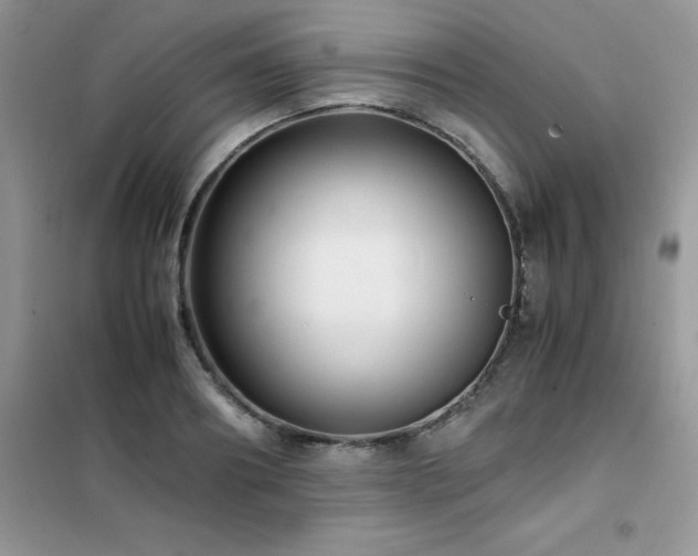 X0000102390890200808011557