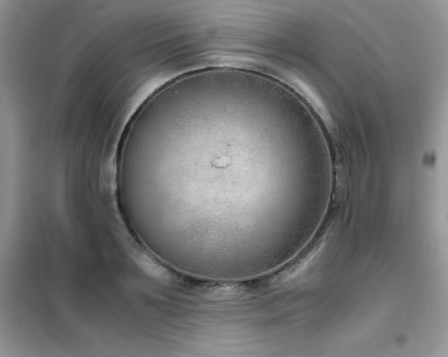 X0000102390891200808011557