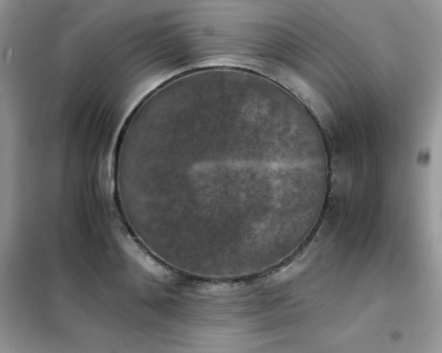 X0000102390892200808011557