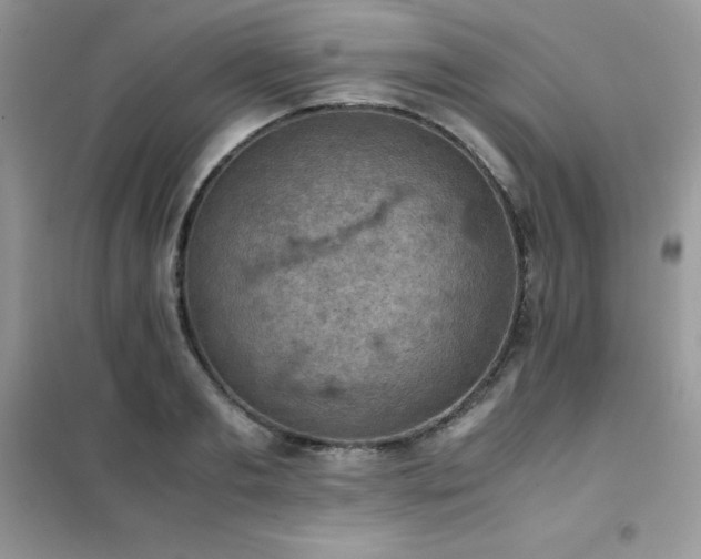 X0000102390893200808011557