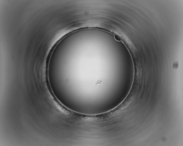 X0000102390894200808011557