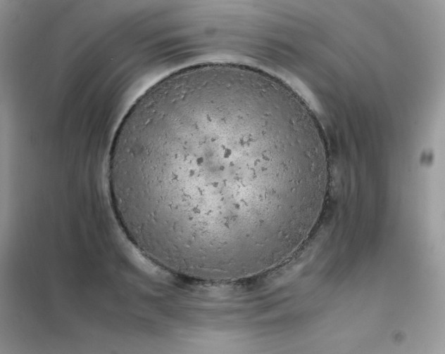 X0000102390895200808011557