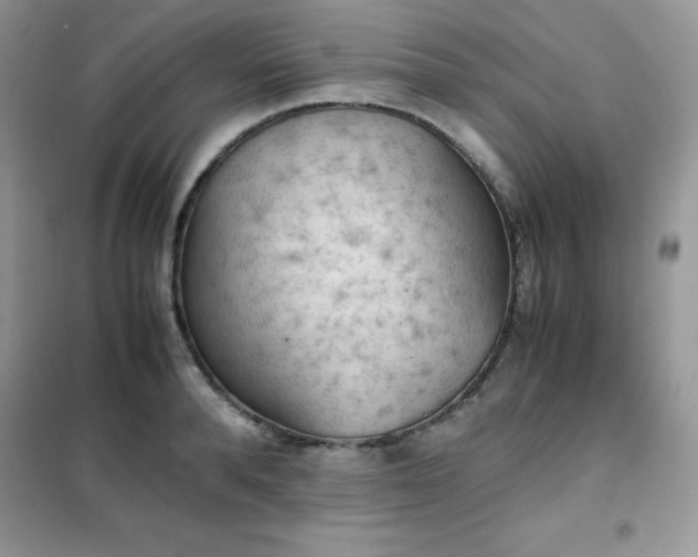 X0000102390896200808011557