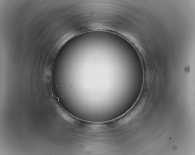 X0000102390897200808011557