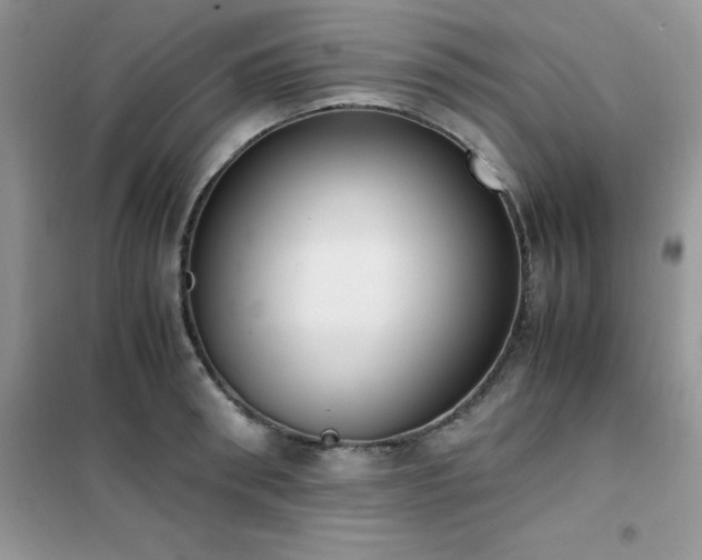 X0000102390898200808011557