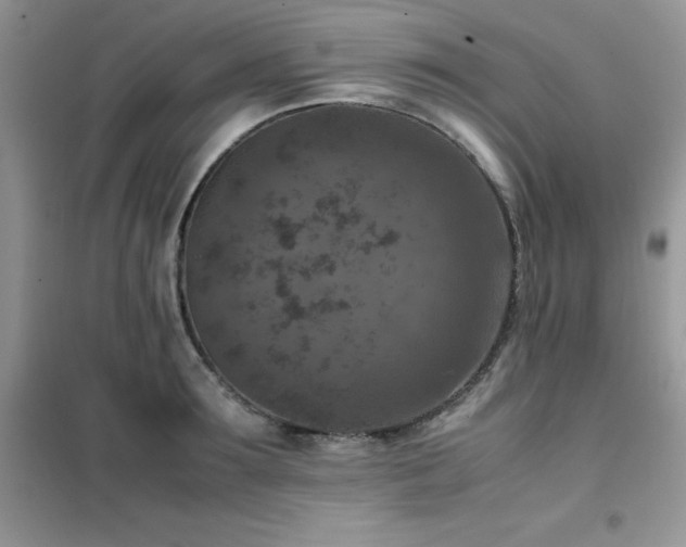 X0000102390899200808011557