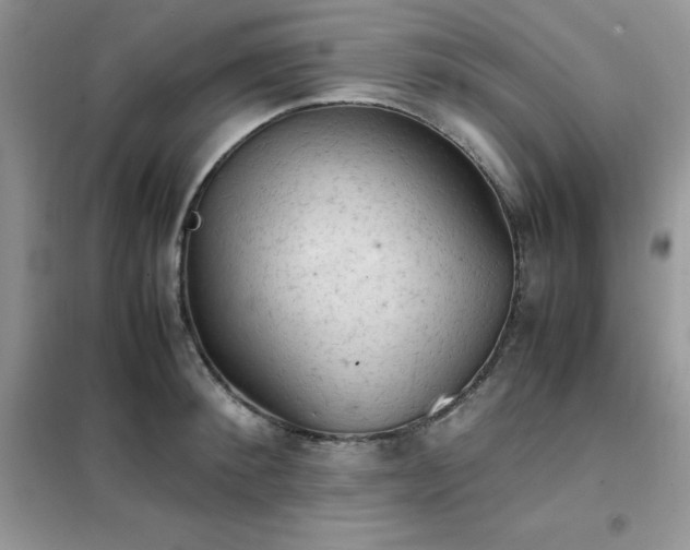 X0000102390900200808011557