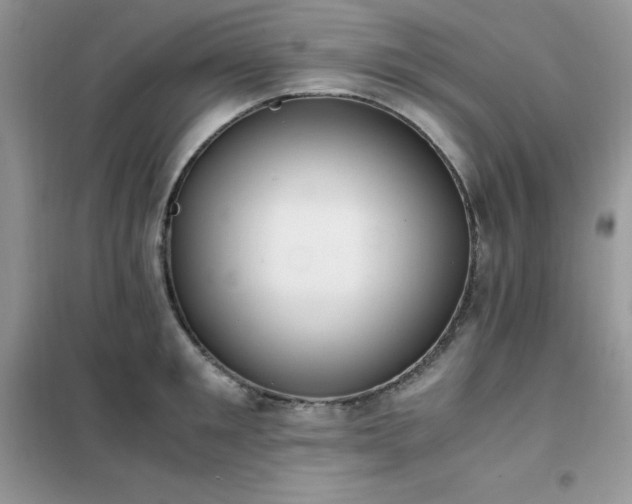 X0000102390901200808011557