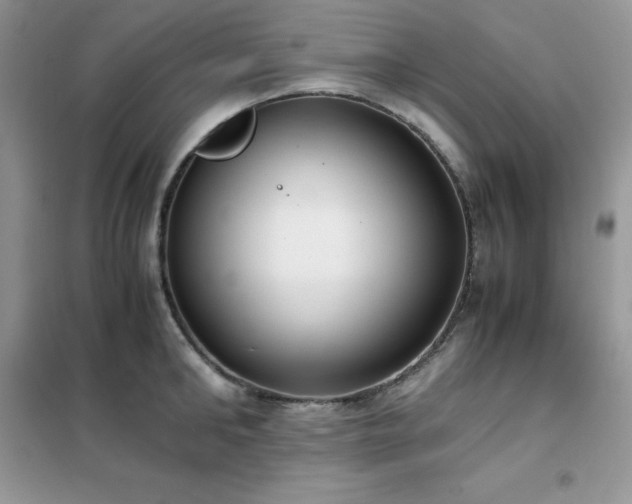 X0000102390902200808011557