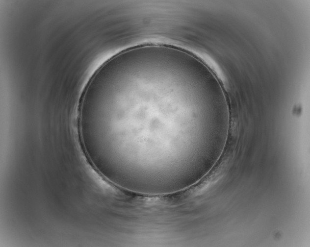 X0000102390903200808011557