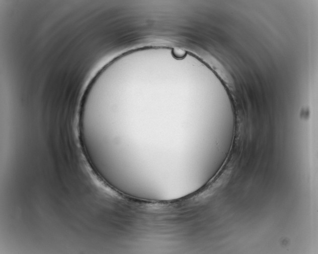 X0000102390904200808011557