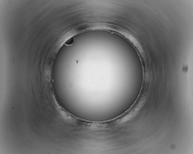 X0000102390905200808011557