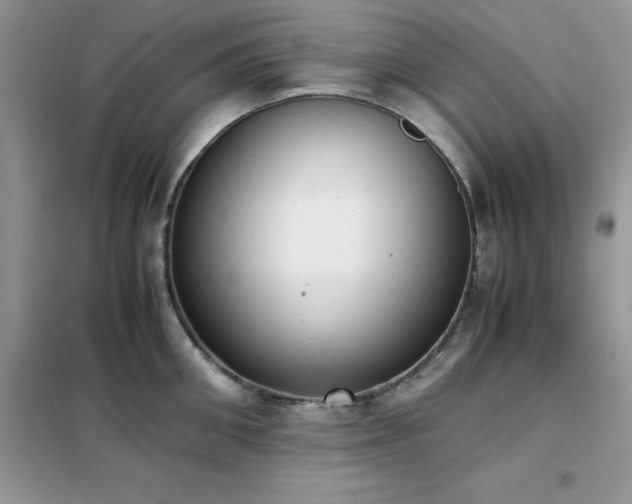 X0000102390906200808011557