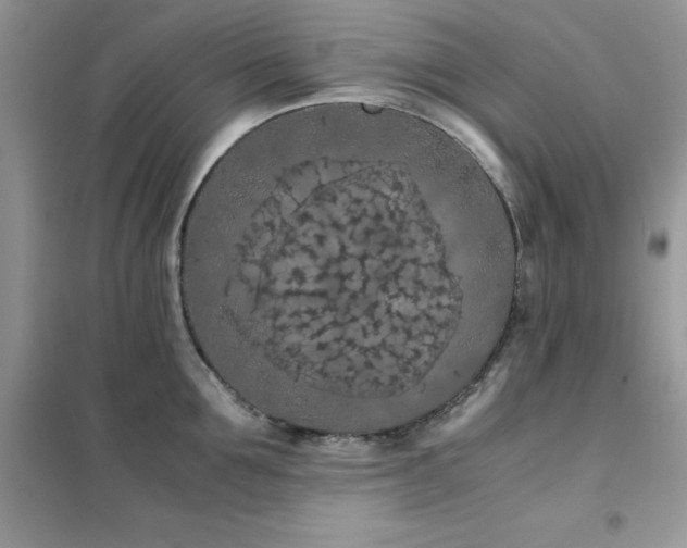 X0000102390907200808011557