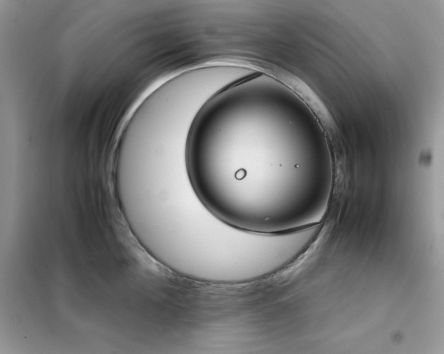 X0000102390908200808011557