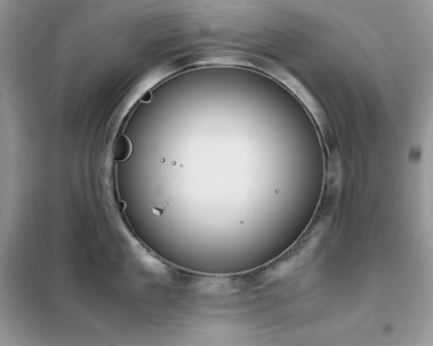 X0000102390909200808011557