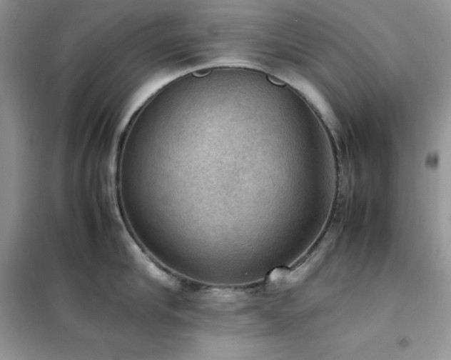 X0000102390910200808011557