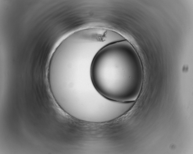 X0000102390912200808011557