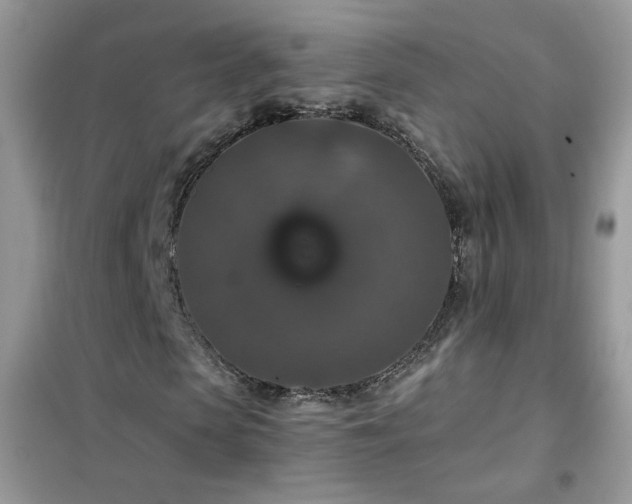 X0000102390913200808011556