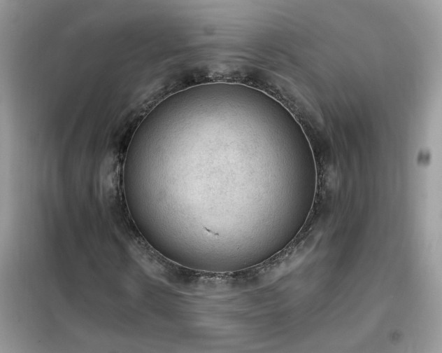 X0000102390914200808011556