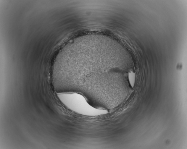 X0000102390916200808011556