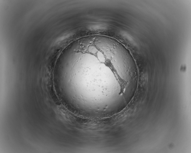 X0000102390917200808011556