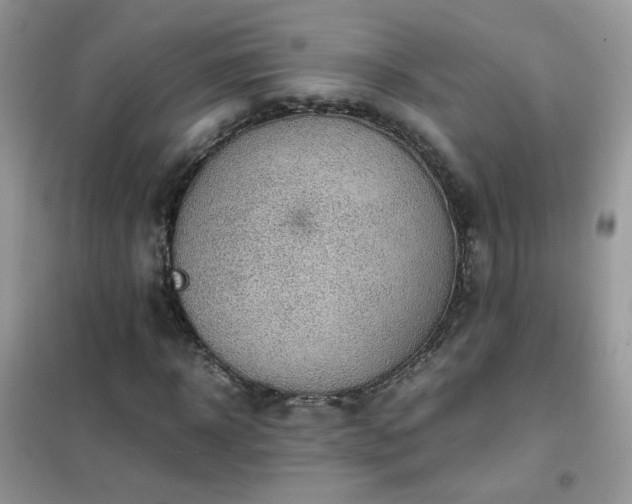 X0000102390918200808011556