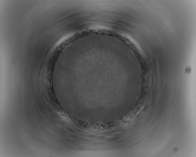 X0000102390919200808011556