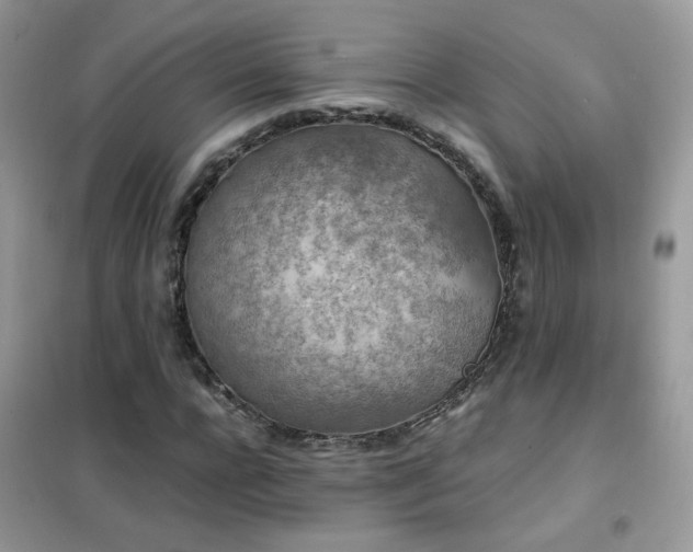 X0000102390920200808011556