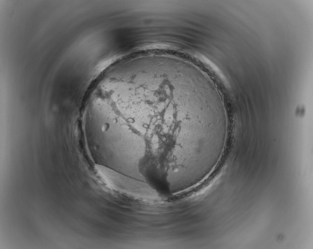 X0000102390921200808011556