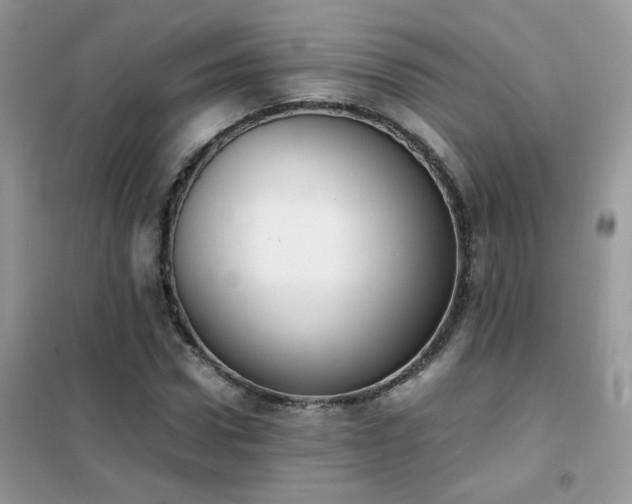 X0000102390922200808011556