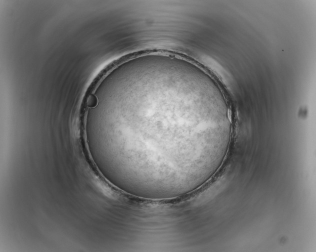 X0000102390924200808011556