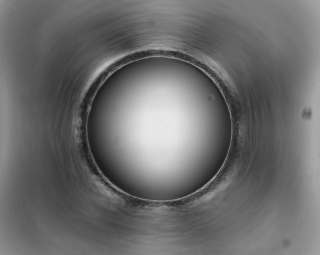 X0000102390926200808011556