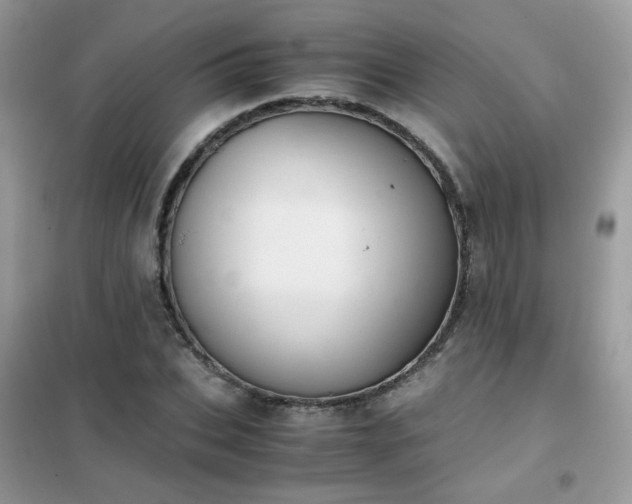 X0000102390927200808011556