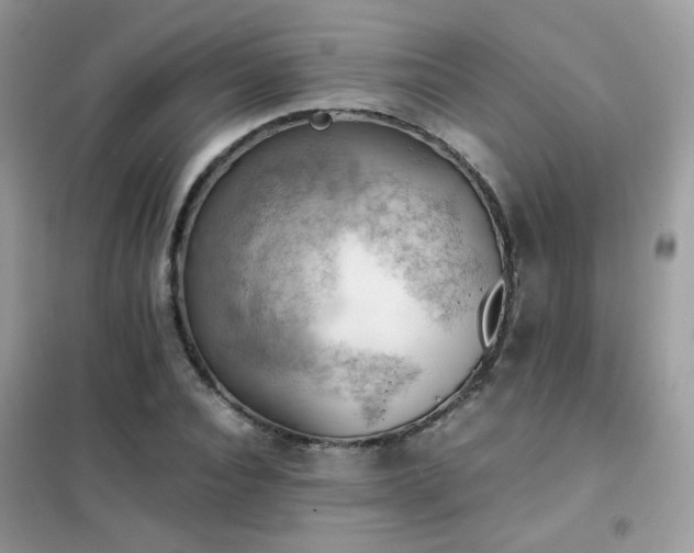 X0000102390928200808011556