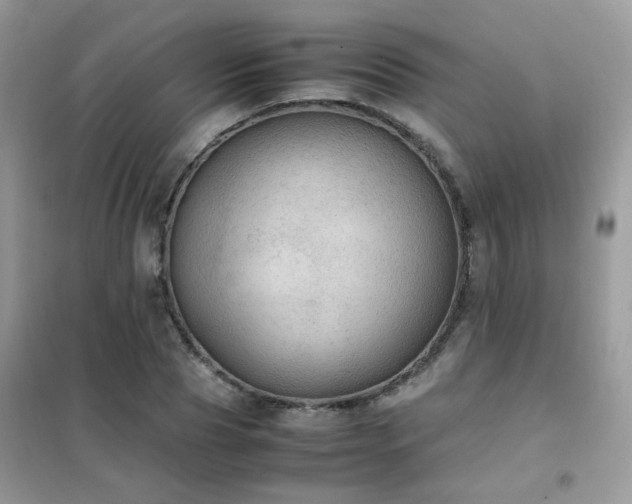 X0000102390929200808011556