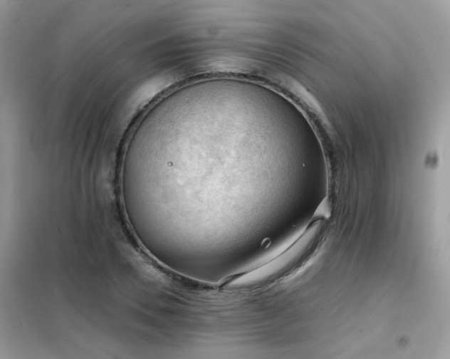 X0000102390930200808011556