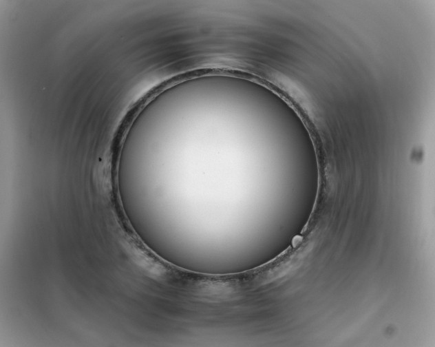 X0000102390931200808011556