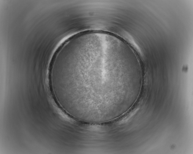 X0000102390932200808011556