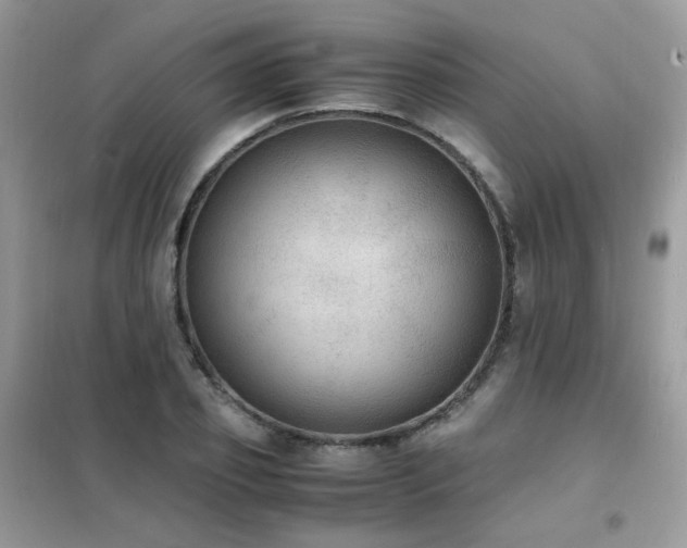 X0000102390933200808011556