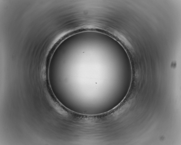 X0000102390934200808011556