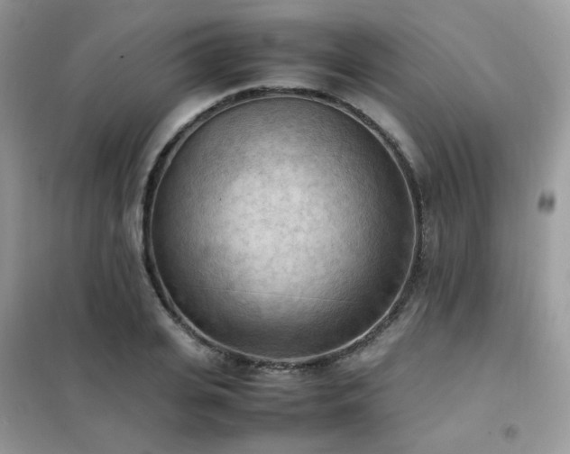 X0000102390935200808011556