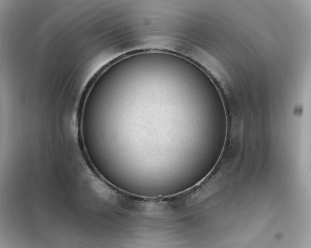 X0000102390936200808011556