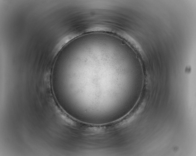 X0000102390937200808011556