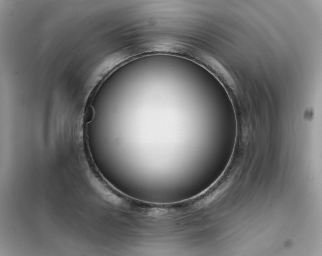 X0000102390938200808011556