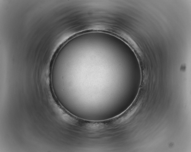 X0000102390939200808011556