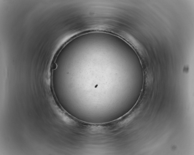 X0000102390940200808011556