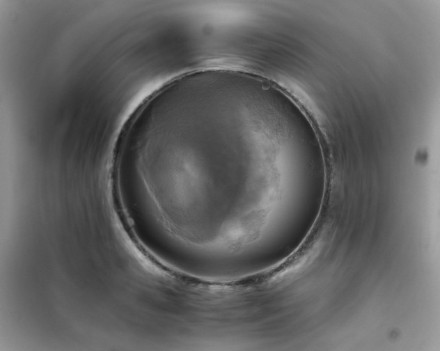 X0000102390941200808011557