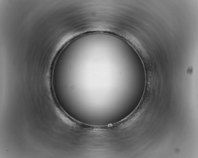 X0000102390942200808011557